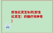 野生红灵芝补药(野生红灵芝：药膳疗效神奇)