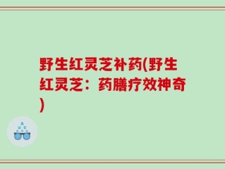 野生红灵芝补药(野生红灵芝：药膳疗效神奇)