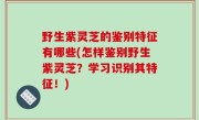 野生紫灵芝的鉴别特征有哪些(怎样鉴别野生紫灵芝？学习识别其特征！)
