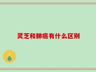 灵芝和肺癌有什么区别