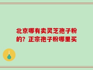 北京哪有卖灵芝孢子粉的？正宗孢子粉哪里买