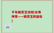 千年磷灵芝功效(长寿神草——磷灵芝的益处)