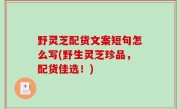 野灵芝配货文案短句怎么写(野生灵芝珍品，配货佳选！)
