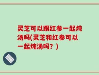 灵芝可以跟红参一起炖汤吗(灵芝和红参可以一起炖汤吗？)