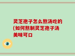 灵芝孢子怎么熬汤吃的(如何熬制灵芝孢子汤美味可口