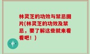 林灵芝的功效与禁忌图片(林灵芝的功效及禁忌，要了解这些就来看看吧！)