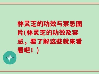 林灵芝的功效与禁忌图片(林灵芝的功效及禁忌，要了解这些就来看看吧！)