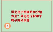 灵芝孢子粉图片和介绍大全？灵芝孢子粉哪个牌子好又实惠
