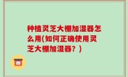 种植灵芝大棚加湿器怎么用(如何正确使用灵芝大棚加湿器？)