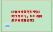 红酒杜仲灵芝红枣(红枣杜仲灵芝，与红酒同桌享受滋补养生)