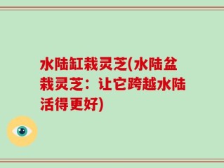 水陆缸栽灵芝(水陆盆栽灵芝：让它跨越水陆活得更好)
