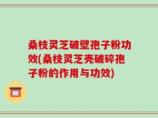 桑枝灵芝破壁孢子粉功效(桑枝灵芝壳破碎孢子粉的作用与功效)