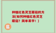 种植红色灵芝蘑菇的方法(如何种植红色灵芝蘑菇？简单易学！)