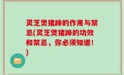 灵芝煲猪蹄的作用与禁忌(灵芝煲猪蹄的功效和禁忌，你必须知道！)