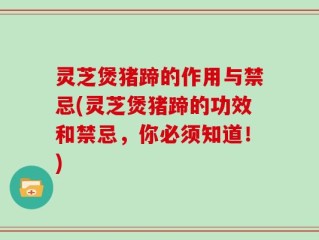灵芝煲猪蹄的作用与禁忌(灵芝煲猪蹄的功效和禁忌，你必须知道！)