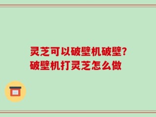 灵芝可以破壁机破壁？破壁机打灵芝怎么做
