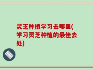 灵芝种植学习去哪里(学习灵芝种植的最佳去处)
