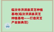 临汾市洪洞县灵芝种植基地(临汾洪洞县灵芝种植基地——打造灵芝产业新典范)