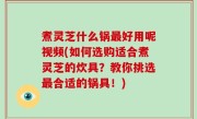 煮灵芝什么锅最好用呢视频(如何选购适合煮灵芝的炊具？教你挑选最合适的锅具！)