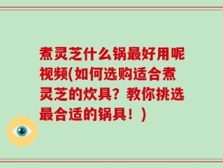 煮灵芝什么锅最好用呢视频(如何选购适合煮灵芝的炊具？教你挑选最合适的锅具！)