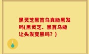 黑灵芝黑首乌真能黑发吗(黑灵芝、黑首乌能让头发变黑吗？)