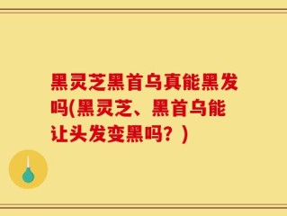 黑灵芝黑首乌真能黑发吗(黑灵芝、黑首乌能让头发变黑吗？)
