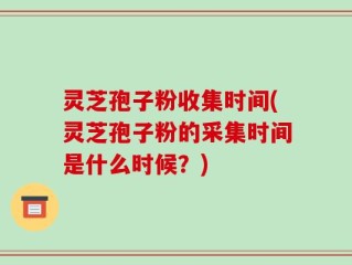 灵芝孢子粉收集时间(灵芝孢子粉的采集时间是什么时候？)