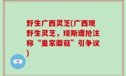 野生广西灵芝(广西现野生灵芝，琼斯遭抢注称“皇家蘑菇”引争议)
