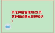 灵芝种植管理知识(灵芝种植的基本管理知识)