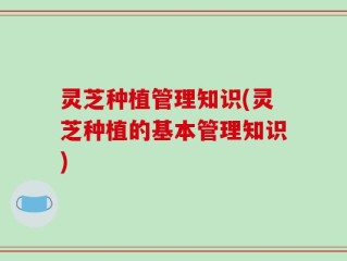 灵芝种植管理知识(灵芝种植的基本管理知识)
