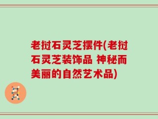 老挝石灵芝摆件(老挝石灵芝装饰品 神秘而美丽的自然艺术品)