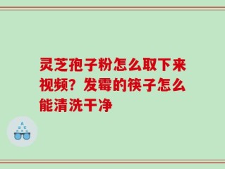 灵芝孢子粉怎么取下来视频？发霉的筷子怎么能清洗干净