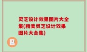 灵芝设计效果图片大全集(精美灵芝设计效果图片大合集)