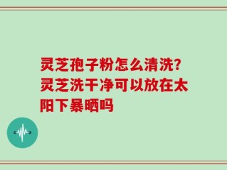 灵芝孢子粉怎么清洗？灵芝洗干净可以放在太阳下暴晒吗