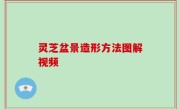 灵芝盆景造形方法图解视频