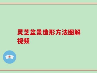 灵芝盆景造形方法图解视频