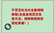 干灵芝吃法大全集视频教程(全面呈现灵芝食用方法，视频教程助你轻松掌握！)