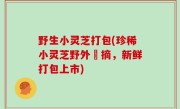 野生小灵芝打包(珍稀小灵芝野外採摘，新鲜打包上市)