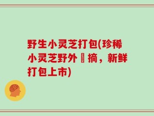 野生小灵芝打包(珍稀小灵芝野外採摘，新鲜打包上市)