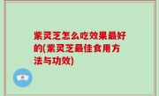 紫灵芝怎么吃效果最好的(紫灵芝最佳食用方法与功效)