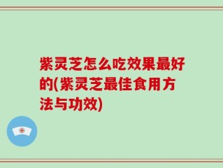 紫灵芝怎么吃效果最好的(紫灵芝最佳食用方法与功效)