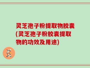 灵芝孢子粉提取物胶囊(灵芝孢子粉胶囊提取物的功效及用途)