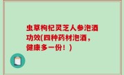虫草枸杞灵芝人参泡酒功效(四种药材泡酒，健康多一份！)