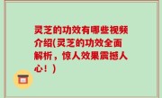 灵芝的功效有哪些视频介绍(灵芝的功效全面解析，惊人效果震撼人心！)