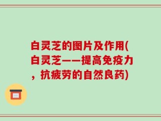 白灵芝的图片及作用(白灵芝——提高免疫力，抗疲劳的自然良药)