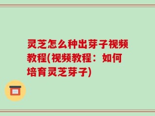 灵芝怎么种出芽子视频教程(视频教程：如何培育灵芝芽子)