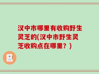 汉中市哪里有收购野生灵芝的(汉中市野生灵芝收购点在哪里？)