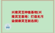 兴隆灵芝种植基地(兴隆灵芝基地：打造无污染健康灵芝新选择)
