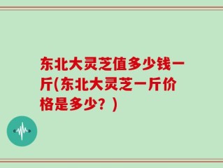 东北大灵芝值多少钱一斤(东北大灵芝一斤价格是多少？)