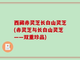 西藏赤灵芝长白山灵芝(赤灵芝与长白山灵芝——双重珍品)